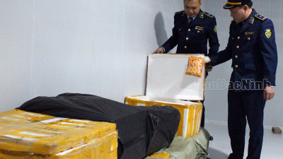 원산지를 알 수 없는 식품 300kg 이상 폐기