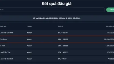 차량번호 88A-666.66이 대략 300억 VND에 경매에서 낙찰되었습니다.